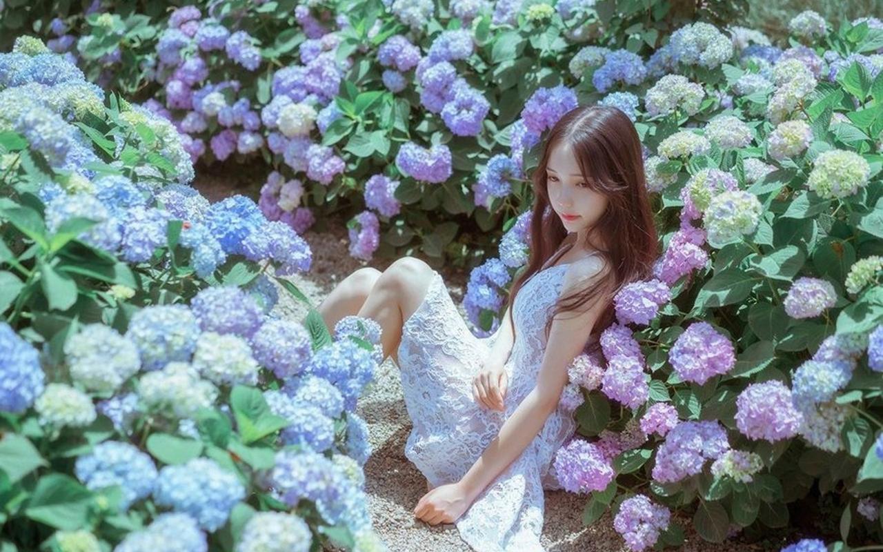 云南省昆明市政协党组书记、主席杨皕接受审查调查